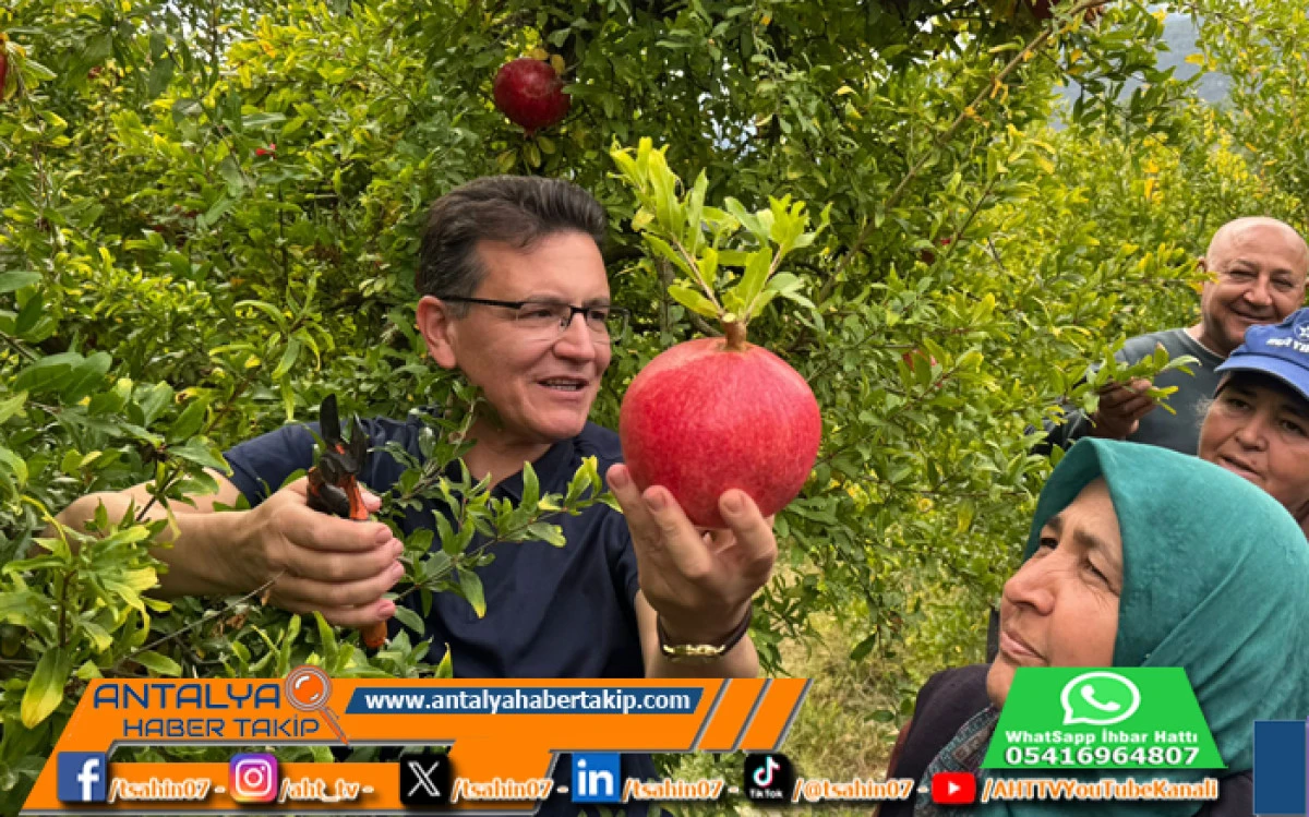 Atay Uslu Nar Bahçelerinde Çiftçilerle Sohbet Etti