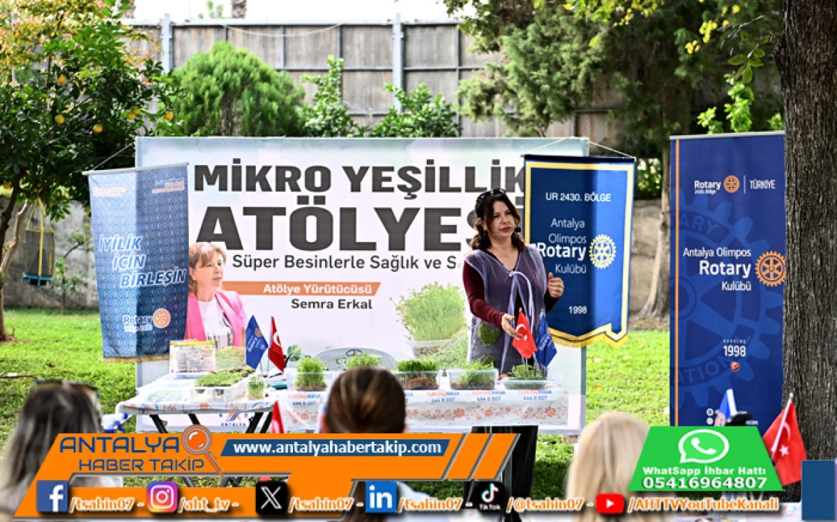 Mikro Yeşilliklerle Minyatür Bahçeler Oluşturdular