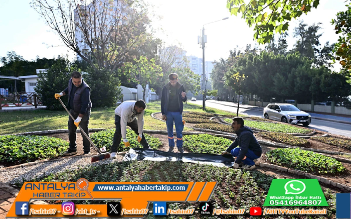 Trafik Parkı Çiçek Bahçesine Dönüştü
